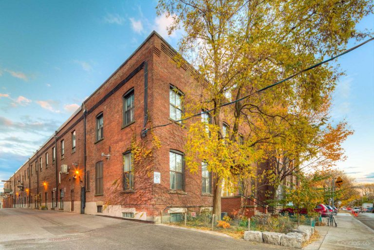 Ideal Lofts