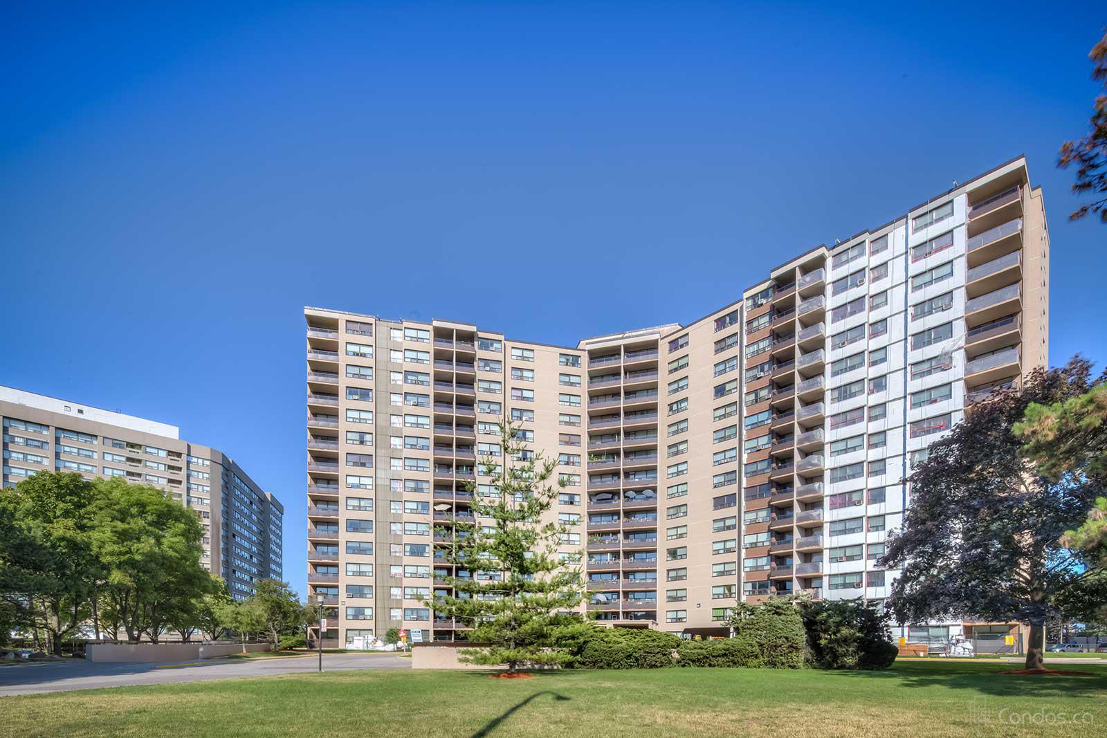 The Bayview
