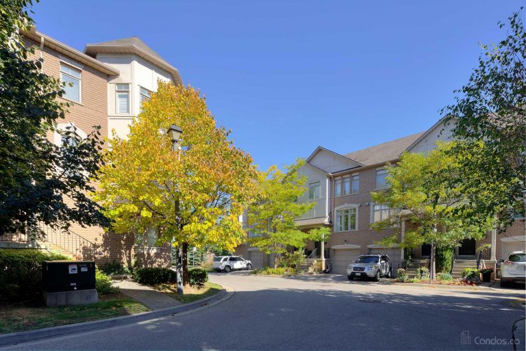 Beyond The Sea Star Tower