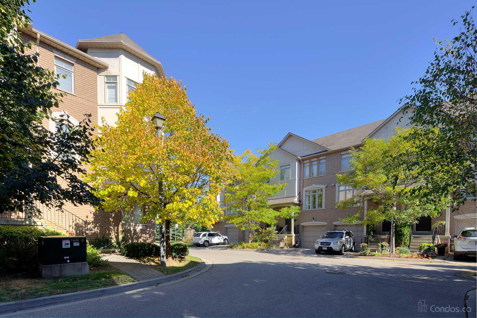 Beyond The Sea Star Tower