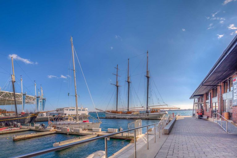 Harbour Terrace