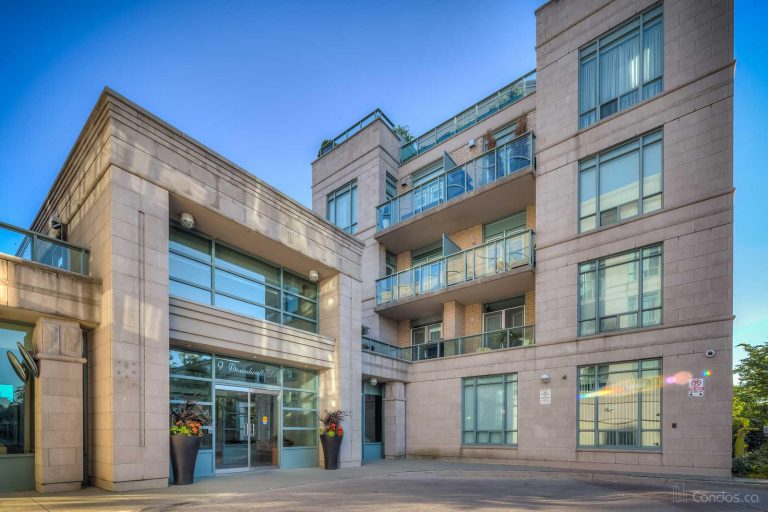 The Boardwalk