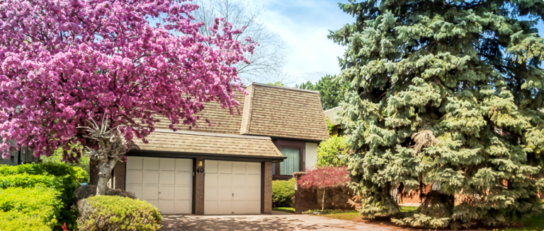 Bayview Woods-Steeles