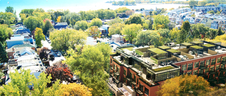 The Beaches (The Beach)