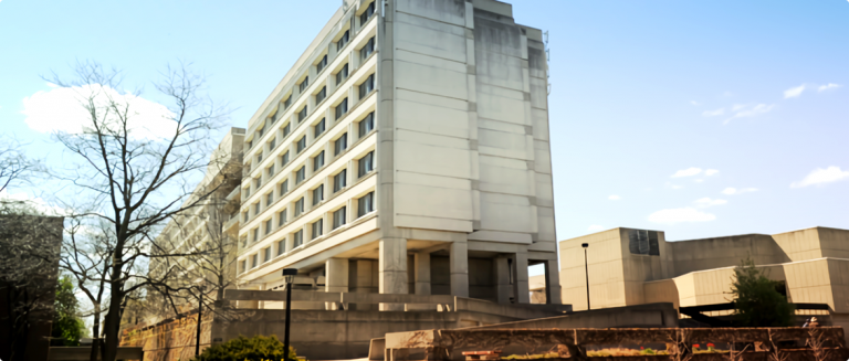 York University Heights (York University)