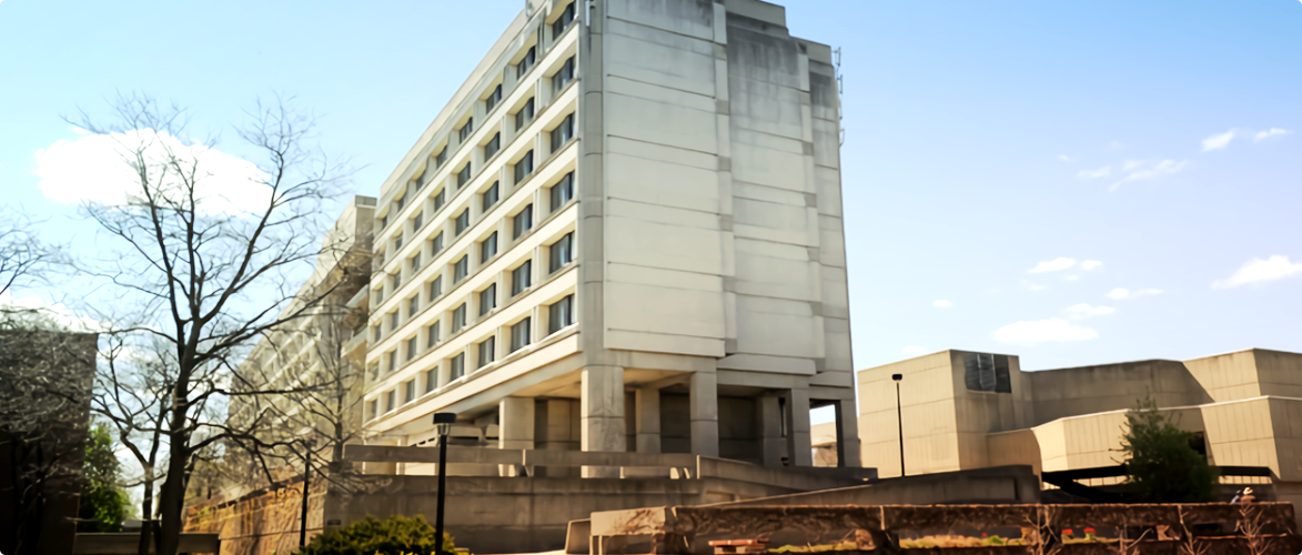 York University Heights (York University)